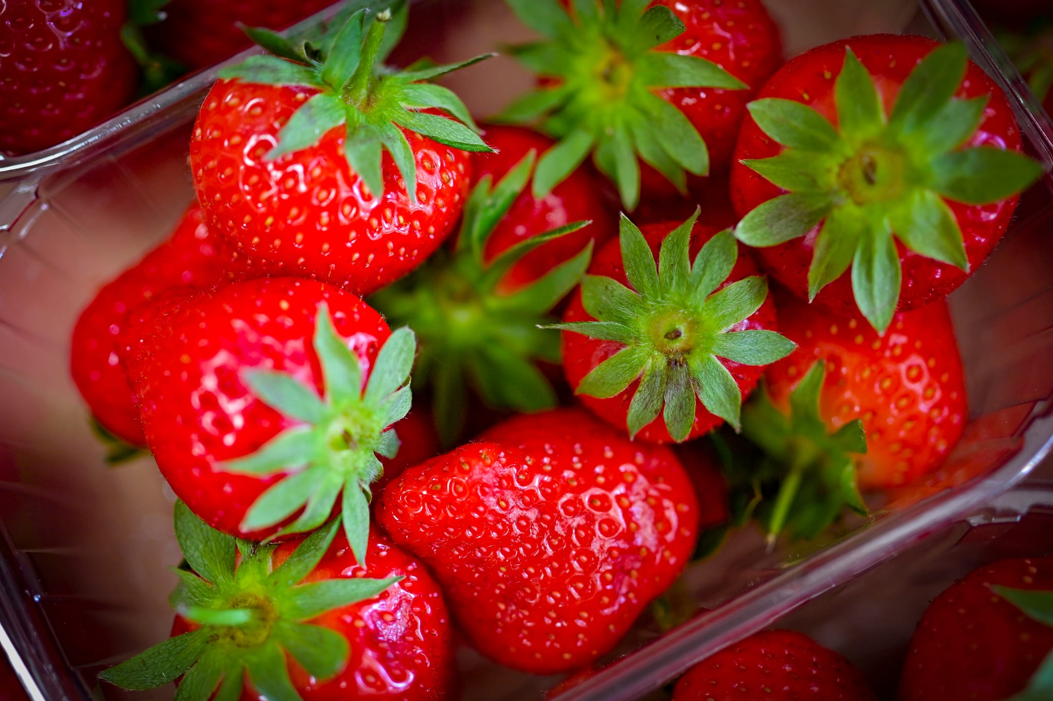 Fruits frais de saison - fraises