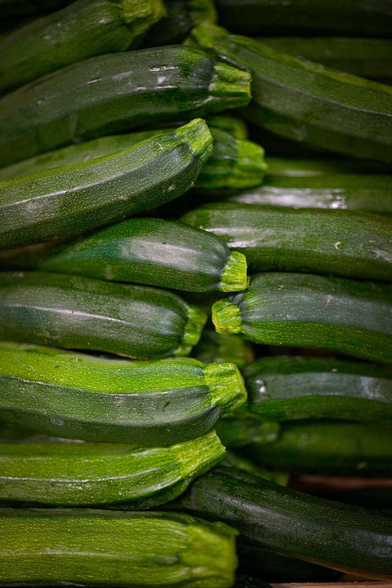 Légumes frais - courgettes